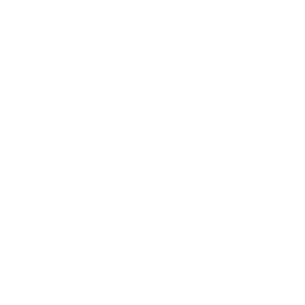Flinders New Venture Institute logo