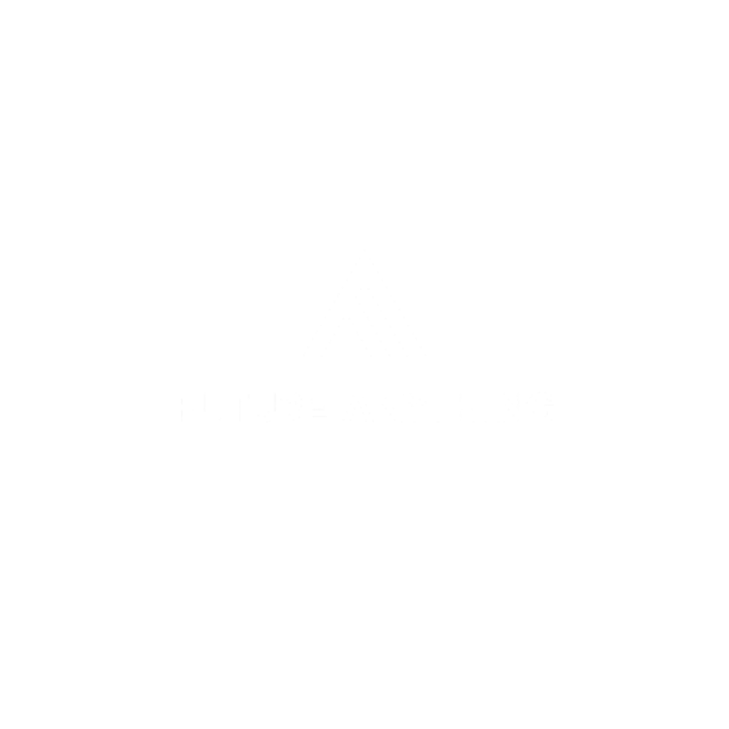 Future Anything logo