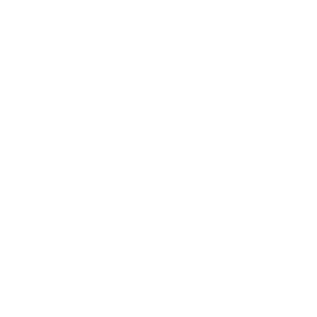 Pappyon logo