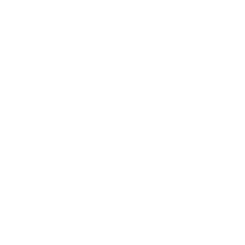 The Government of South Australia logo